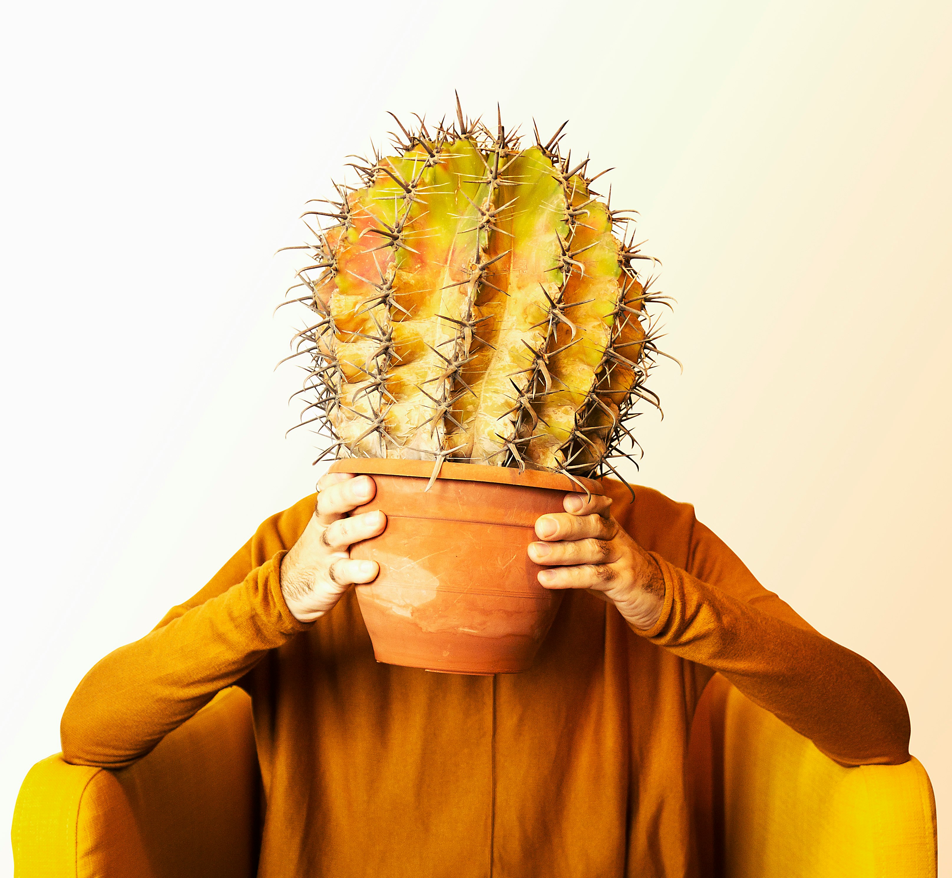 person in yellow long sleeve shirt holding green cactus plant